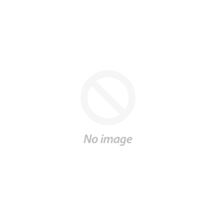 Valorie Tote
